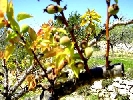 Finca en Cervera