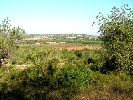 Plot of Land in Cálig