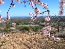 Propriété Rurale en Other