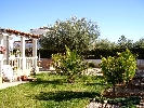 Image 15