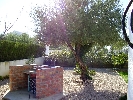 Image 63