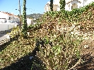Image 31