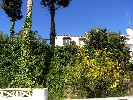 Image 13