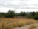 Image 14