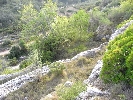 Propriété Rurale en Cervera