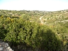 Propriété Rurale en Cervera