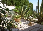 House in Peñiscola